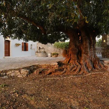 Villa Nikolaos