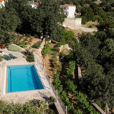 Nikolaos Villa *