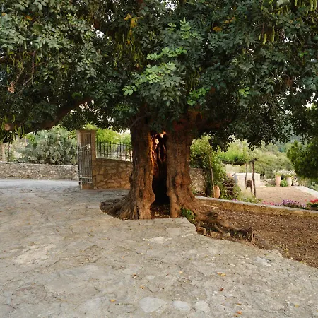 Nikolaos